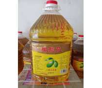 油脂产品库 种类、应用与行业全览